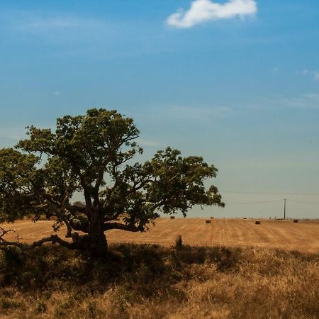 Vales Do Alentejo Guest House Bicos Ngoại thất bức ảnh