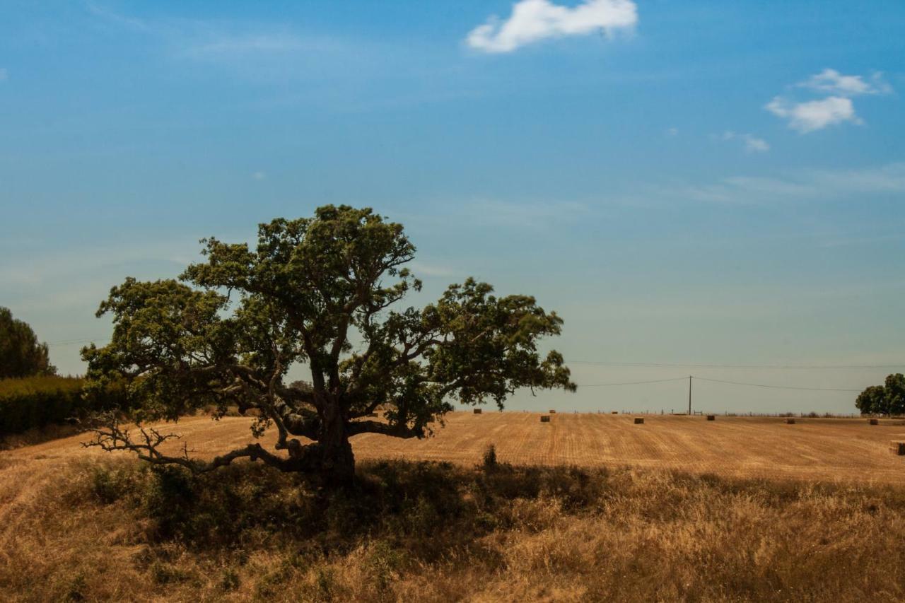 Vales Do Alentejo Guest House Bicos Ngoại thất bức ảnh